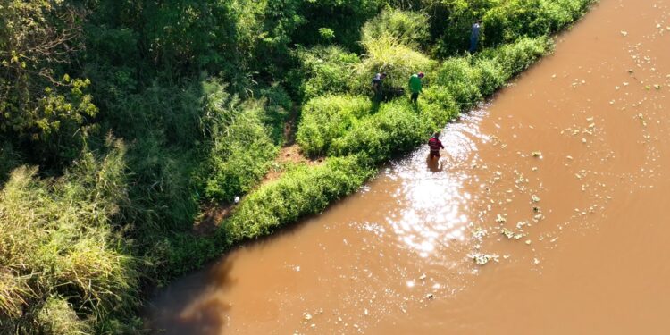 Criança de 2 anos desaparece e bombeiros iniciam terceiro dia de buscas