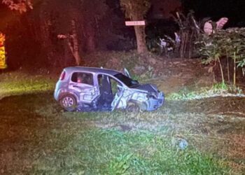 Passageiro de carro morre em colisão contra árvore na BR-277; motorista não foi localizado