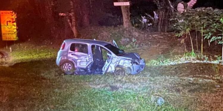 Passageiro de carro morre em colisão contra árvore na BR-277; motorista não foi localizado