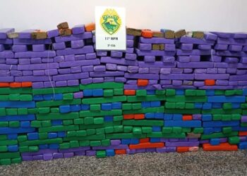 Policiais Militares apreendem mais de 400 quilos de maconha em Araucária