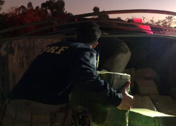 PRF faz maior apreensão de maconha do ano no Paraná