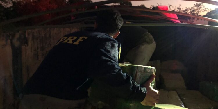 PRF faz maior apreensão de maconha do ano no Paraná
