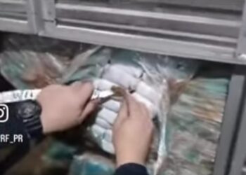 PRF descobre 3 toneladas de maconha, munições e fuzis em carreta, veja o vídeo