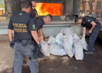 Polícia Federal incinera mais de 500 quilos de cocaína em Maringá