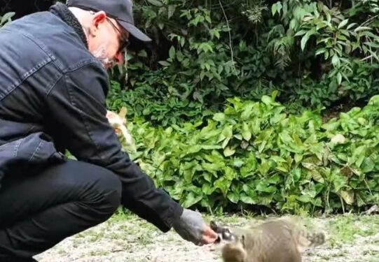 Chef Henrique Fogaça é mordido por quati em Juiz de Fora