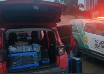 Motorista é preso após perseguição e apreensão de 554,6 kg de drogas no Paraná