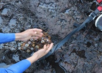 Voluntários realizam ação de limpeza nas Cataratas do Iguaçu e removem 158 kg de moedas jogadas