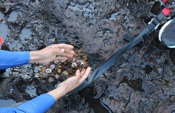 Voluntários realizam ação de limpeza nas Cataratas do Iguaçu e removem 158 kg de moedas jogadas