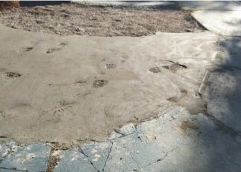 Homem é assassinado após pedir para atirador não pisar em calçada de obra