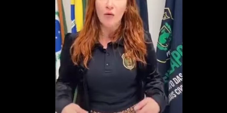 Polícia Civil e Instituto de Identificação do Paraná devem parar atividades, como repúdio a projeto de reestruturação da categoria, veja o vídeo