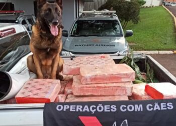 Polícia apreende mais de uma tonelada de maconha em Toledo e recupera veículo roubado