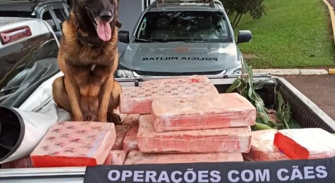 Polícia apreende mais de uma tonelada de maconha em Toledo e recupera veículo roubado