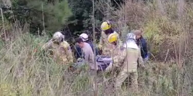 Carro despenca de ribanceira no Contorno Norte e motorista morre em Curitiba
