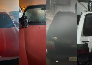 RONE recupera quatro veículos roubados e detém criminoso na RMC