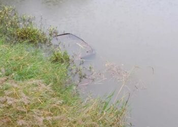 Carro de família paranaense cai em açude e crianças são resgatadas pelo pai