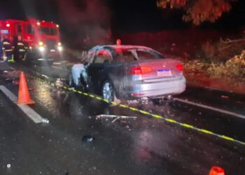 Motorista morre carbonizado em acidente na PR-317