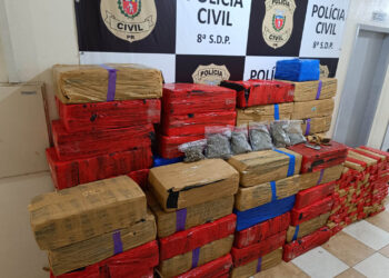 Apreensão de maconha aumenta 64% no Paraná nos primeiros cinco meses de 2023