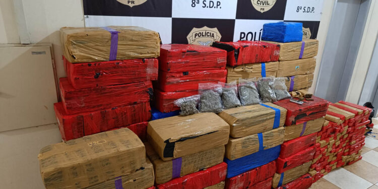 Apreensão de maconha aumenta 64% no Paraná nos primeiros cinco meses de 2023