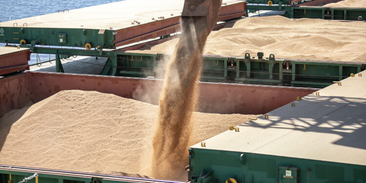 Portos do Paraná registra maior movimentação mensal da história em maio de 2023