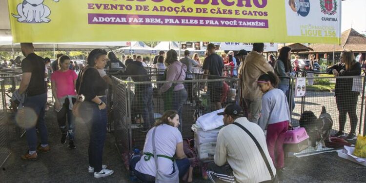 Inscrições de cães para evento de adoção do Amigo Bicho em Curitiba começam hoje