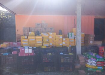 RONE recupera carregamento roubado em Colombo e dois criminosos são presos