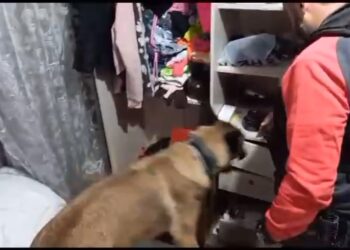 Polícia Civil realiza mega operação contra o tráfico de drogas e lavagem de dinheiro