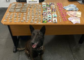 Com auxílio de cão farejador, policiais encontram maconha e cocaína no Parolin