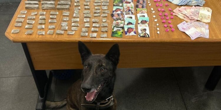Com auxílio de cão farejador, policiais encontram maconha e cocaína no Parolin