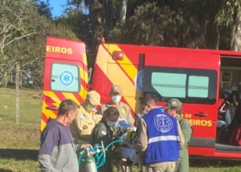 Acidente trágico: Criança de 4 anos morre após ser atropelada na Rodovia do Xisto