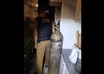 Oficial de Justiça vai cumprir mandado judicial e indivíduo foge; Polícia Militar foi acionada e encontra 5000 pés de maconha, veja o vídeo