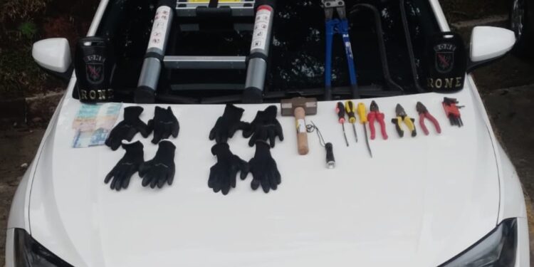 Criminosos que roubaram mais de 10 casas nos últimos dias são presos pela RONE