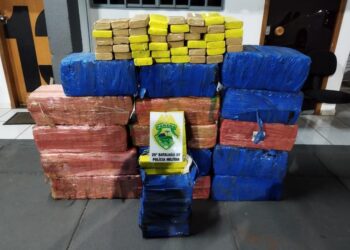 Polícia Militar apreende mais de 400 quilos de maconha após acidente na PR-323