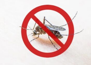 Mutirão Curitiba sem Mosquito percorre 24 quarteirões da Vila Guaíra a partir de hoje