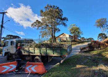 Prefeitura de Curitiba mobiliza equipes para atender ocorrências causadas pelos fortes ventos da madrugada