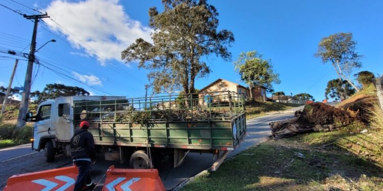 Prefeitura de Curitiba mobiliza equipes para atender ocorrências causadas pelos fortes ventos da madrugada