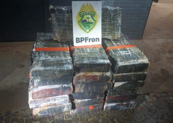 Entre junho e julho, Polícia Militar registrou aumento de 64% nas apreensões de maconha