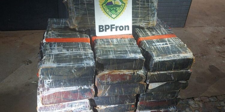Entre junho e julho, Polícia Militar registrou aumento de 64% nas apreensões de maconha