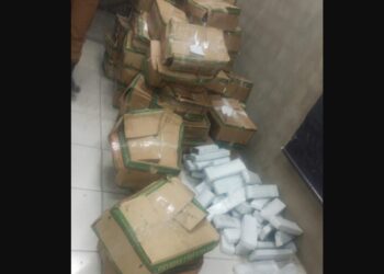 Dupla é presa com quase 500 quilos de maconha no Tatuquara