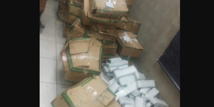 Dupla é presa com quase 500 quilos de maconha no Tatuquara