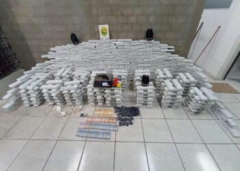 ROTAM apreende 685 quilos de drogas durante ação na região metropolitana de Curitiba