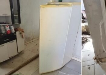 Corpo de mulher é encontrado dentro de geladeira; homem foi preso por feminicídio