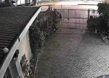 Criminosos disfarçados de carrinheiros furtam 10 barris de chopp em Curitiba, veja o vídeo