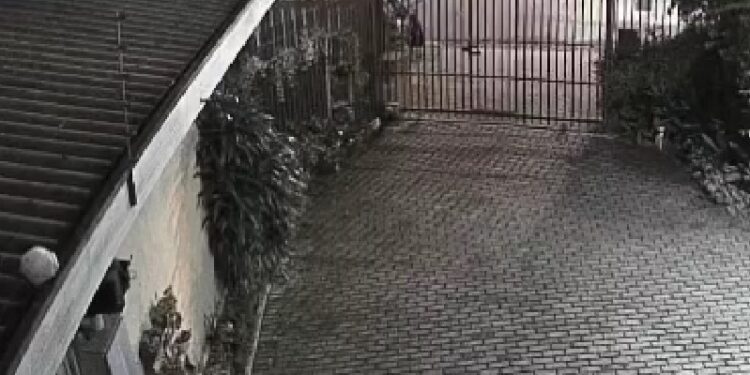 Criminosos disfarçados de carrinheiros furtam 10 barris de chopp em Curitiba, veja o vídeo