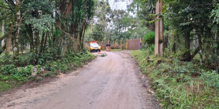 Homem é encontrado morto com diversos ferimentos em Campo Largo