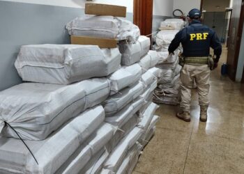 PRF apreende mais de 1,5 tonelada de maconha no Paraná em carreta dirigida por motorista paraguaio