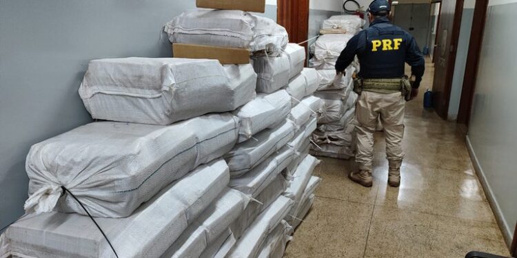 PRF apreende mais de 1,5 tonelada de maconha no Paraná em carreta dirigida por motorista paraguaio