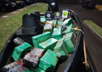 Ação integrada apreende uma tonelada de drogas no Paraná