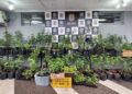 COPE realiza operação em casa de alto padrão no Caiua e detém indivíduos que vendiam maconha gourmet