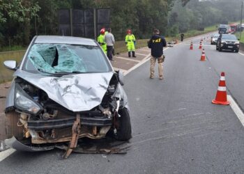 Homem morre atropelado na BR-376 em São José dos Pinhais
