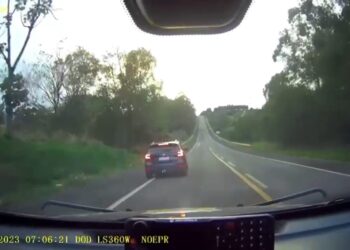 Após fuga, PRF apreende mais de 400 quilos de maconha no Paraná, veja o vídeo